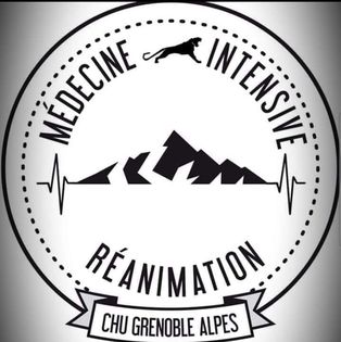 LOGO MIR Grenoble